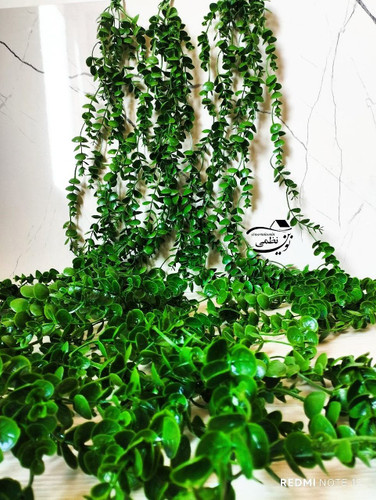 آویز شمشاد سبز ۲ متری