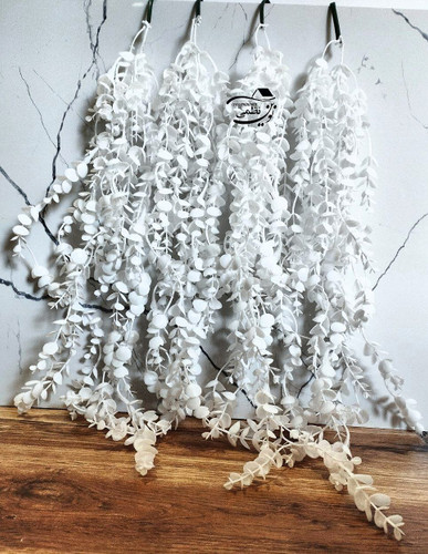 آویز شمشاد سفید