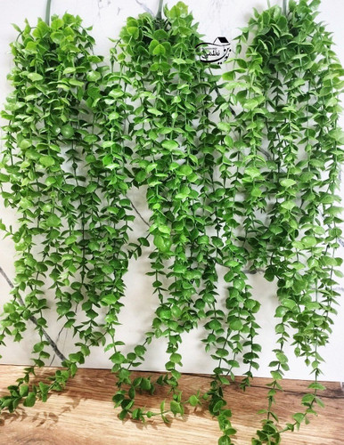 آویز شمشاد 16 شاخه